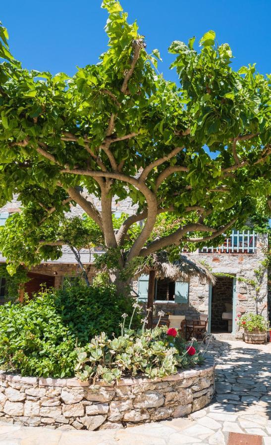 Palaeopoli Villas アヴェモナス エクステリア 写真